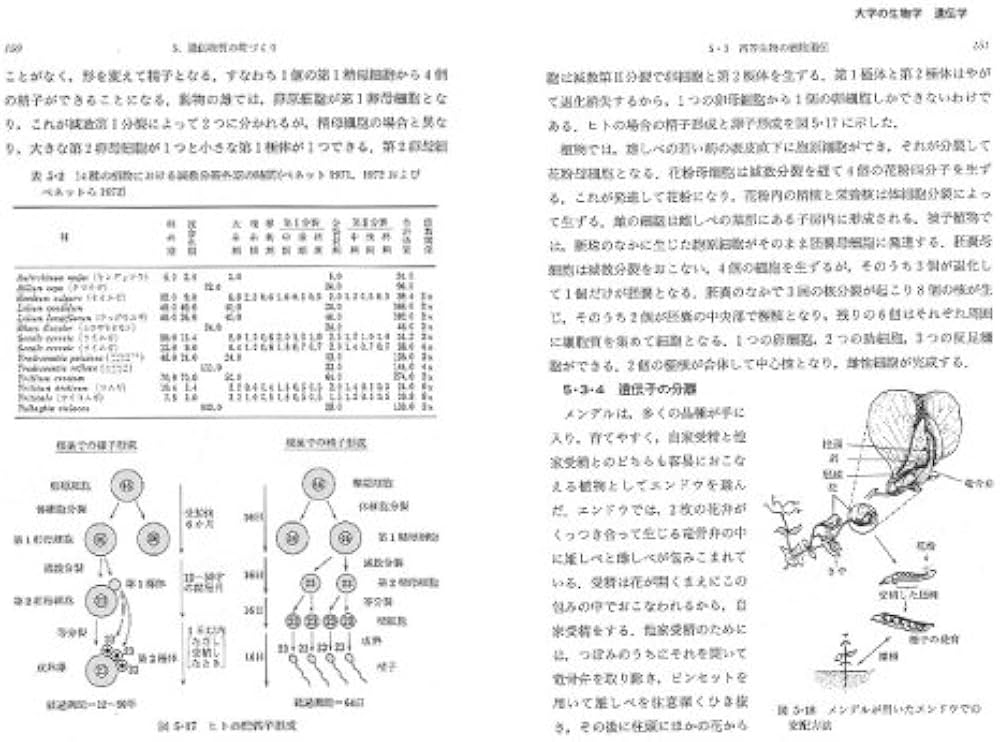 生物学 園芸学 育種学 遺伝学 等の辞典 遺伝学 (大学の生物