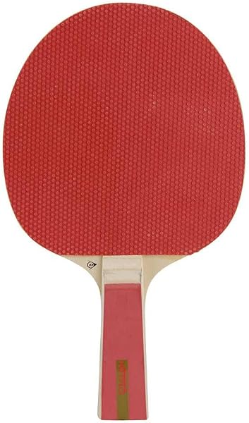 Dunlop Nitro Raquette de Tennis de Table pour débutants
