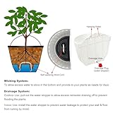 ORIMERC B07D8522FR lato 4