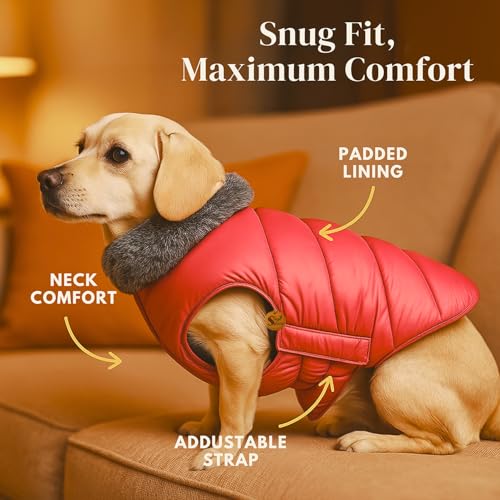 Image of Sage Square Dog Jacket Winter Coat with Fur Collar, Light Weight, Ultra Warm Windproof, Waterproof Dog /Puppy Jacket for Cold Weather, Thicker Fleece (Red, Large - 26inch)