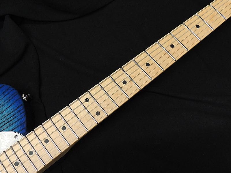 Amazon | Fujigen フジゲン FGN FUJIGEN NTE10MAH SBB Neo Classic