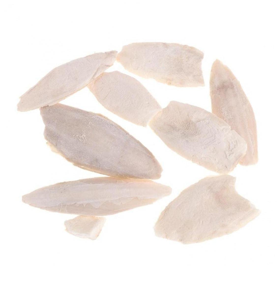1 Bag Bird Desalting Cuttlebone Toy Cuttlefish Sepia Bone Training Chew Molar Toy for Parrot