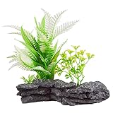 Underwater Treasures Fern Mound