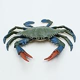 Namvo B0D8VS1H93 lato 4