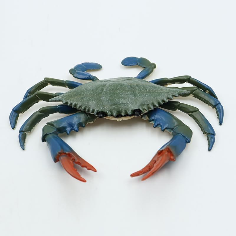 Namvo Crab Figures Sea Life Animals Figurines Realistic Sea Creature Model Role Play, Blue - Image 4