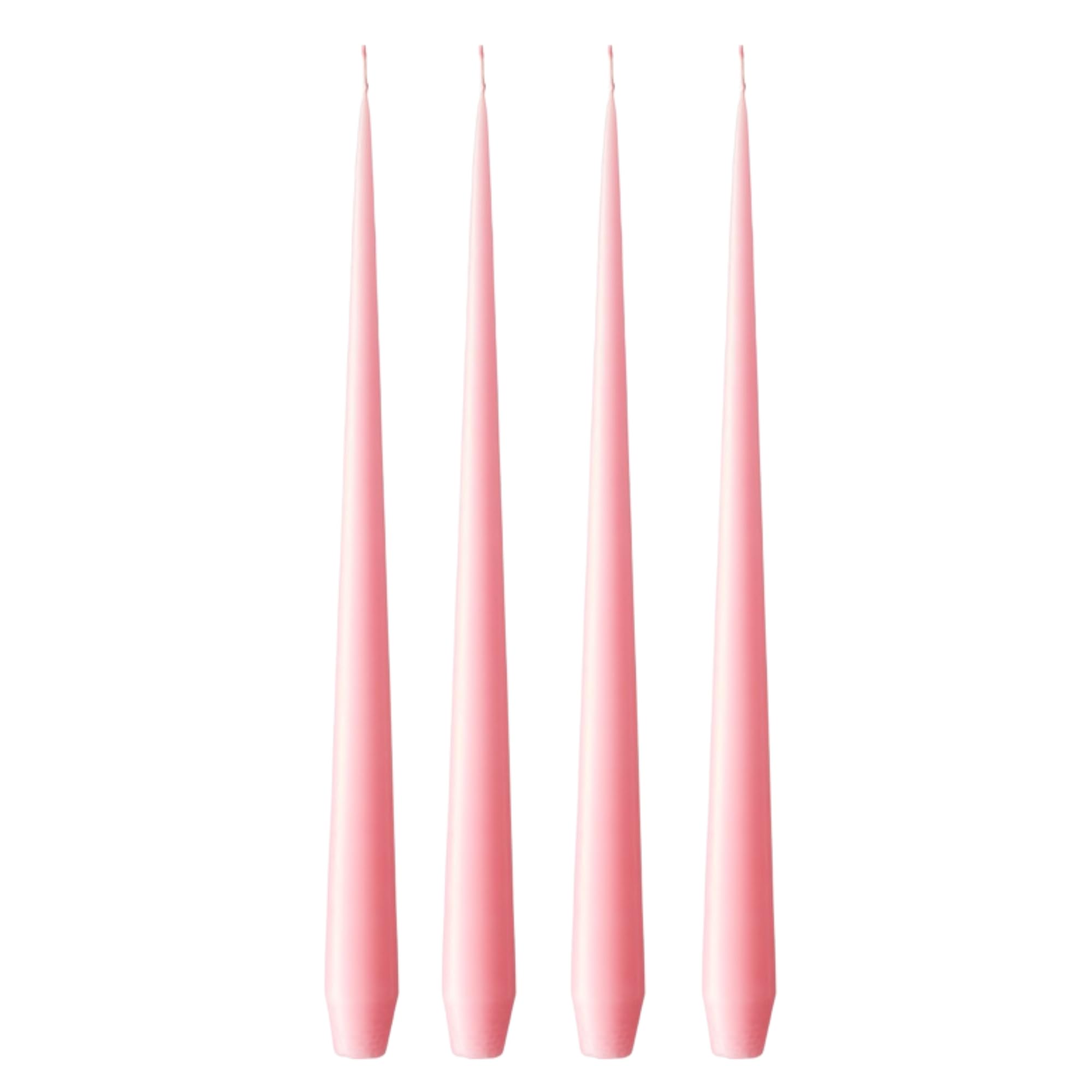 Ester & Erik Crocus Delight Cherry Bloom Dinner Candles - Set Of 4 In Giftbox - 32 Cm Tall Taper Candles With Cotton Wick - Made From 100% Fragrance-Free Unscented Pure Paraffin Wax - 8+ Hour Burn Time