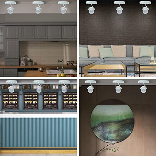 Arcfox Flush Mount Ceiling Spotlight Indoor Fixture Gu10 Mr16 Directional Round Track Lighting For Living Room Bedroom (Bulbs Not Included) #TOP4