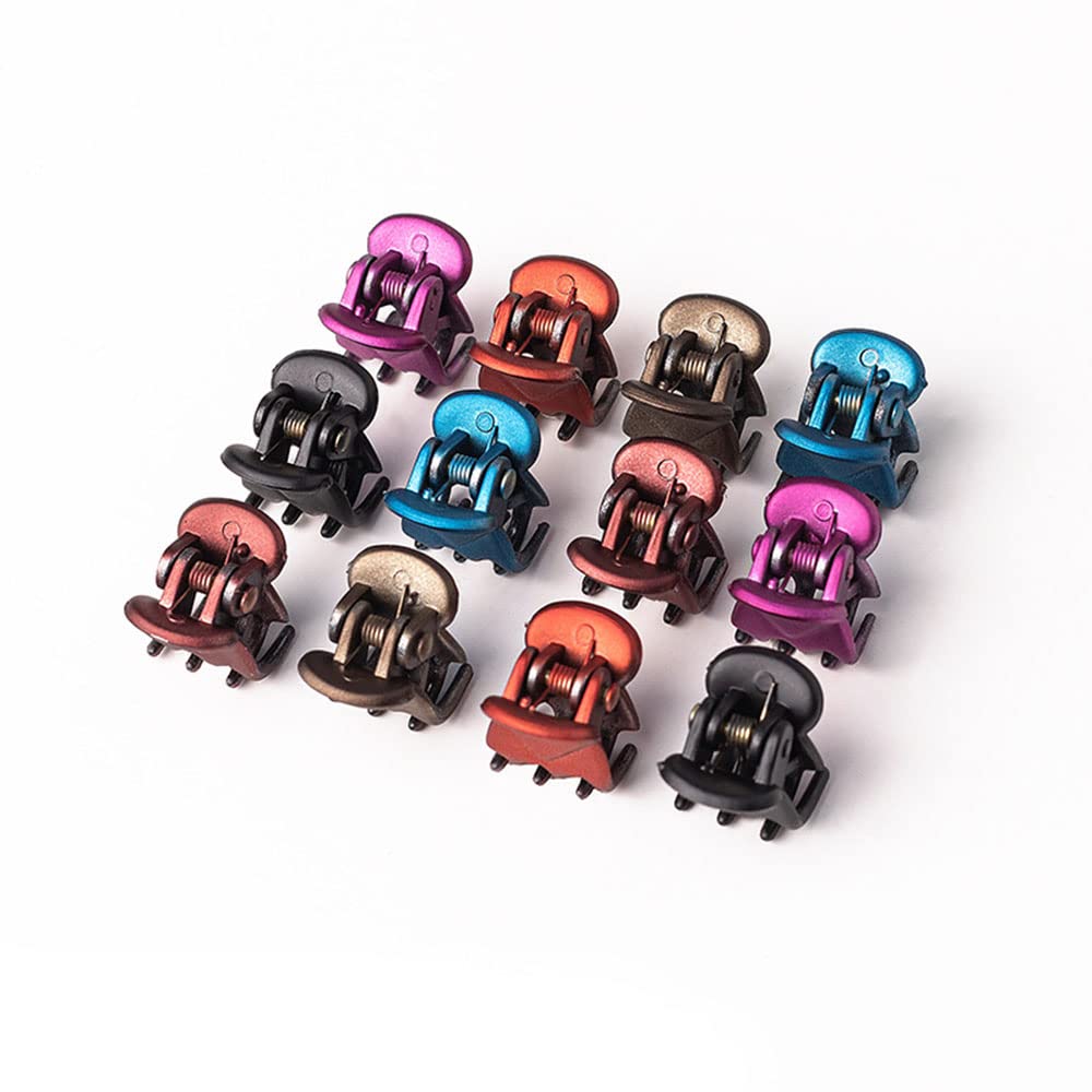 XINGNIAO Pack of 12 Mini Hair Clips for Women Girls Small Hair Clips, Small Claw Clips