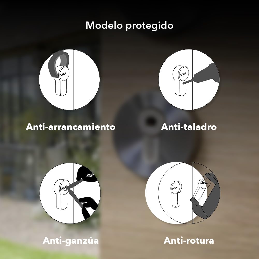 THIRARD - Cilindro Trafic 12 Alta Seguridad - Pack de 2 - Níquel - Ø 30 x 30 mm - 8 Pasadores - Antiarranque, Antiperforación, Antiganzúa - 10 Llaves Planas Reversibles - Gris