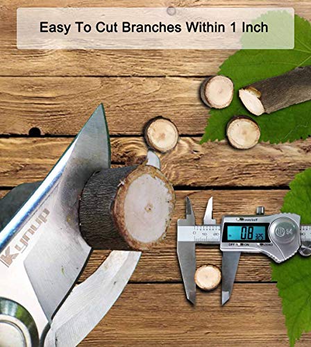 Kynup Pruning Shears For Gardening, Garden Shears Heavy Duty, Professional Bypass Pruner Hand Shears, Tree Trimmers Secateurs, Garden Clippers For Plants, Hedge Shears, Garden Tools (Red) #TOP4