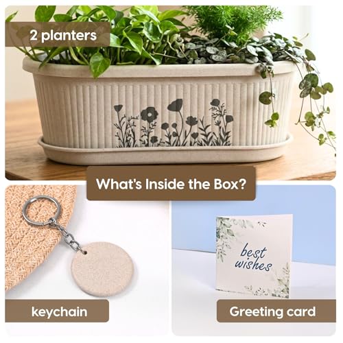 Image of Eha Earth-Friendly Printed Regalia Planters for Home Decor | 12 Inch, Pack of 2 Without Growmix | Plant Gifts Made with Rice Husk Biocomposite | Flower Pot for Living Room| Sand Castle