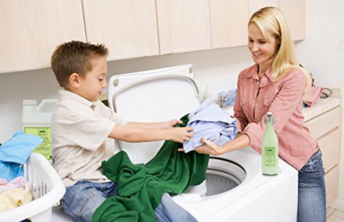 THE GOOD HOME COMPANY Laundry Fragrance, Pure Grass, 64 Ounce