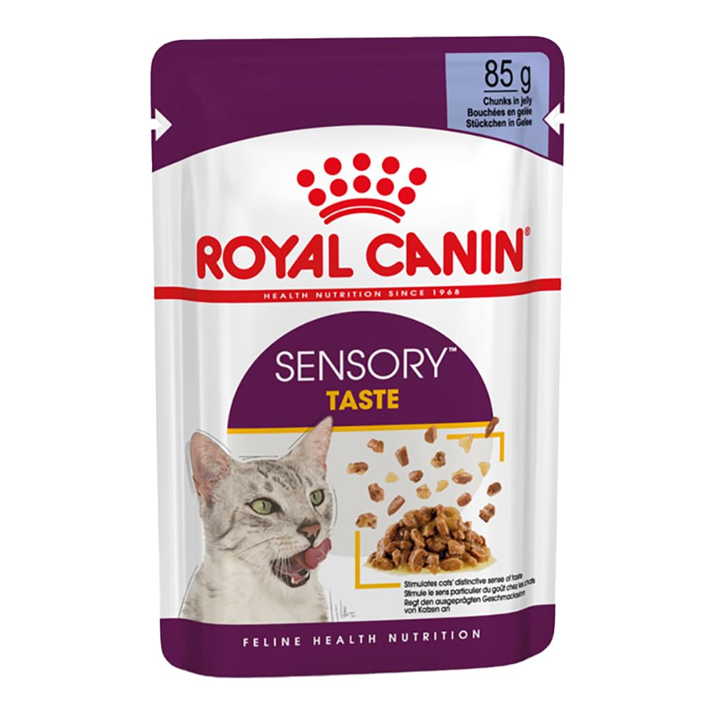 Royal Canin Sensory Taste Comida húmeda en jalea para gatos exigentes, 12 x 85 g