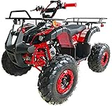 TAO TAO Model # 125D ATV 110cc Fully Auto with Reverse - NEW COLOR : SPIDER RED