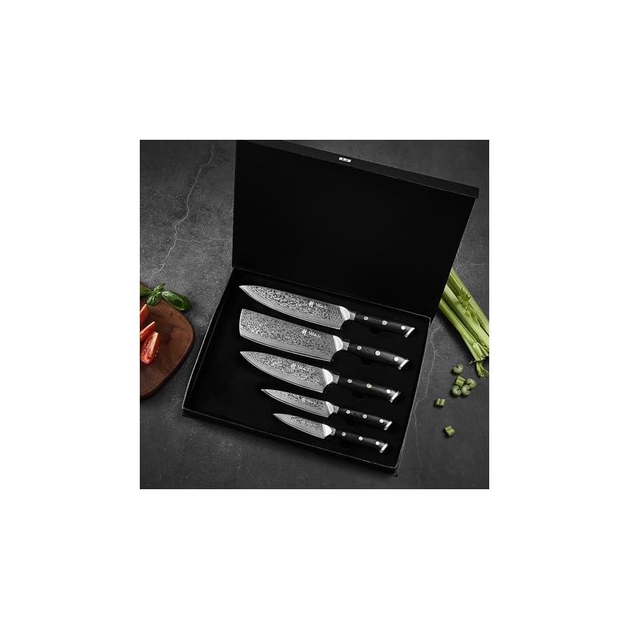 Wakoli-Knife-Block-Sets-5-Pieces-Chef-Knife-Set-with-Block-Damascus-Kitchen-Knife-Set-with-Magnetic-Knife-Block-Professional-Kitchen-Knife-Block-Set-with-G10-Handles-for-All-Tasks-Elite-Cuisine Wakoli Knife Block Sets, 5 Pieces Chef Knife Set with Block - Damascus Kitchen Knife Set with Magnetic Knife Block, Professional Kitchen Knife Block Set with G10 Handles for All Tasks (Elite Cuisine)