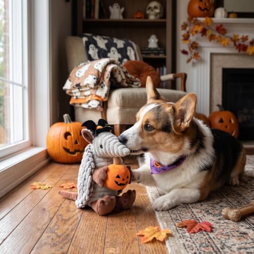 Image of Hollypet Armadillo Squeaky Puppy Dog Toys for Small Medium Dogs, Halloween | plush stuffed small dog squeak animal toy with unique grunt squeaker textured fabric for teeth cleaning toys