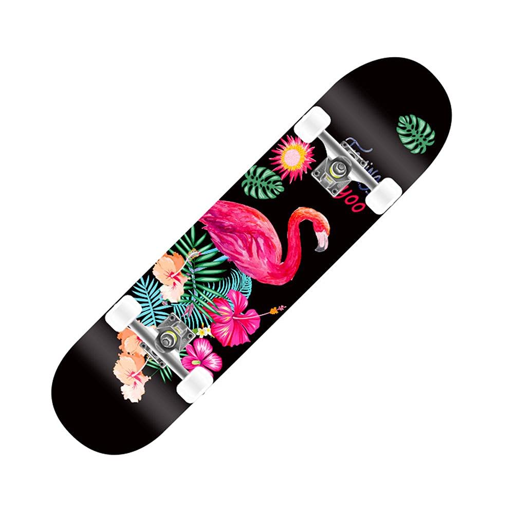 31 "Skateboards pour Filles, Adultes, débutants et Adolescents, Skateboard Complet 8 Plis Maple ConcAVE Cruiser.