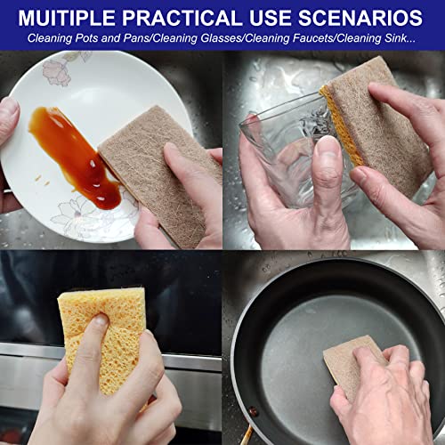 Celox 12 Pack Natural Cellulose Biodegradable Sponges, Coconut Husk Non Scratch Kitchen Cleaning Sponge, Eco-Friendly Dual-Sided Sponge For Dishwashing, 4.5" X 2.8" X 0.9" #TOP5