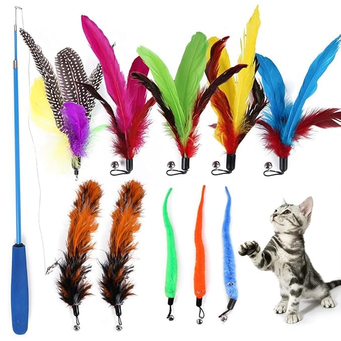 ERITIN Cat Interactive Toys Set with Retractable Teaser Wands and Feather Worm Toys Kitten Variety of Vibrant Colours Activity to Exercise Cats and Kittens