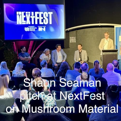 Shaun Seaman on Mushroom Material, the Next Fest 2025 pitch winner cover art
