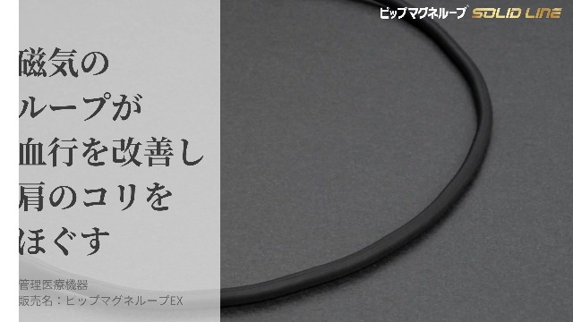 Amazon.co.jp: ピップマグネループ