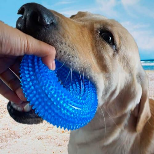 Image of Squeaky Ring Toy|Non- Toxic and Durable Squeaky Ring Shaped Ring Toy |Soft Natural Rubber Toy for Chewing and Dentle Cleaning (Blue, Size Medium)