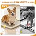 Dog Pee Pad Holder for Small and Medium Dogs, Two-Layer Mesh Dog Potty Tray, Indoor Puppy Pad Holder for Potty Training, Gentle on Paws, Easy-Clean Leak-Resistant Fits 22 × 22 Inches Pee Pads
