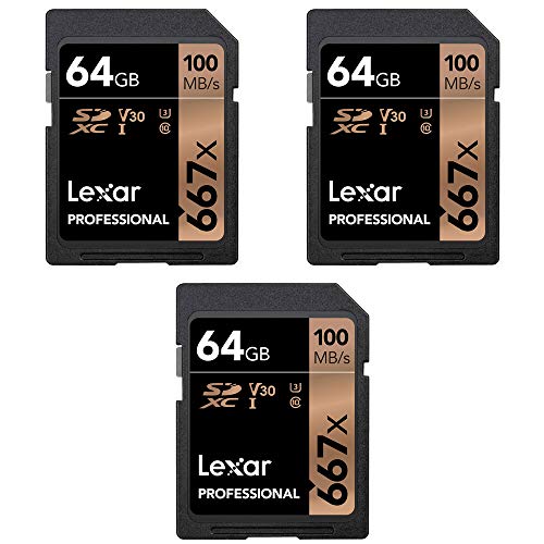 Lexar LSD64GBNA667 vtFbVi 667x 64GB SDXC UHS-3 Class 10 [J[h (3pbN)