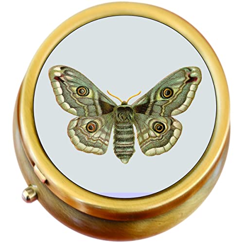 Vintage Moth Brass Pill Box