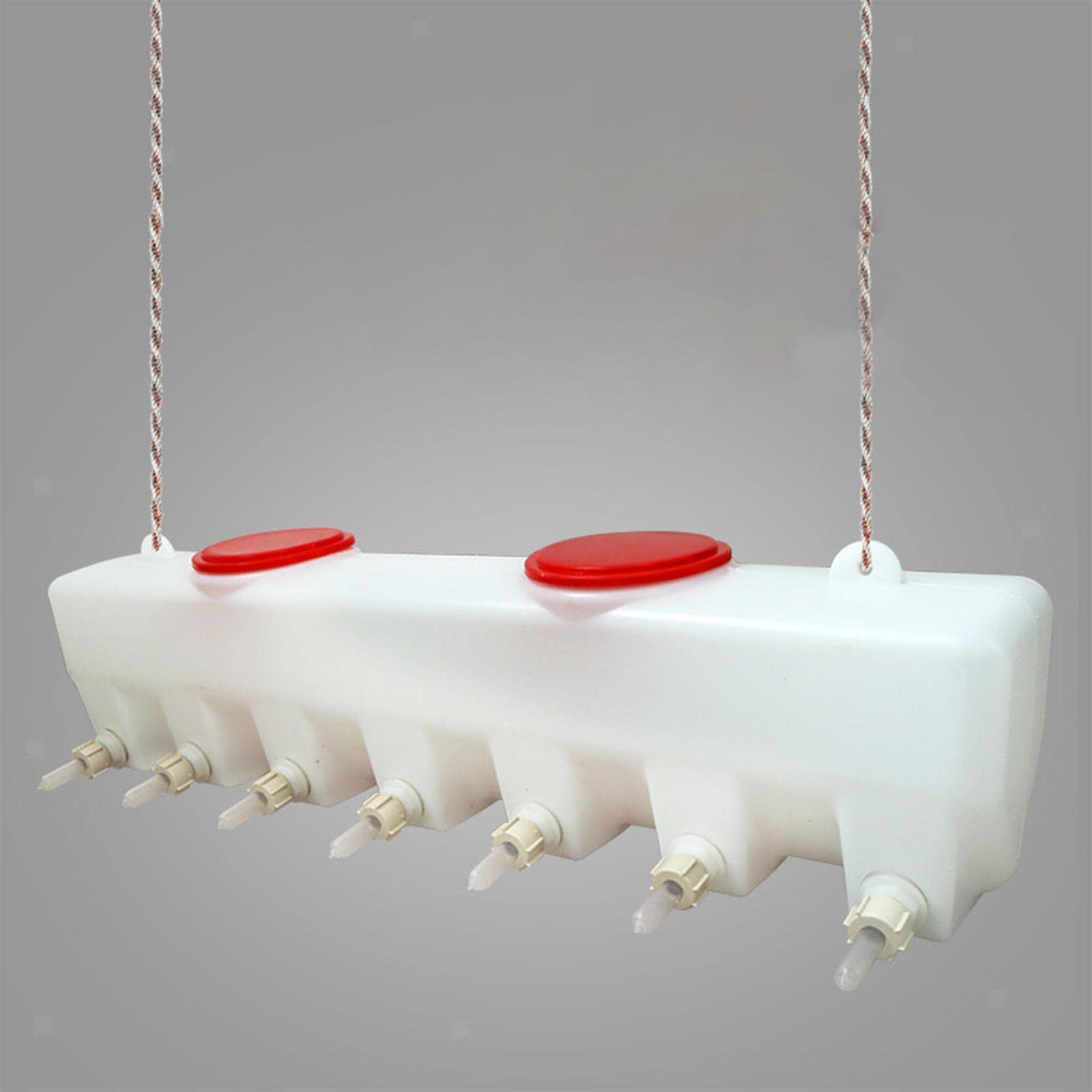 Alimentatore a tettarella per agnelli a Doppia Faccia 14 tettarelle Stazione di Alimentazione per Cuccioli in Silicone Costante