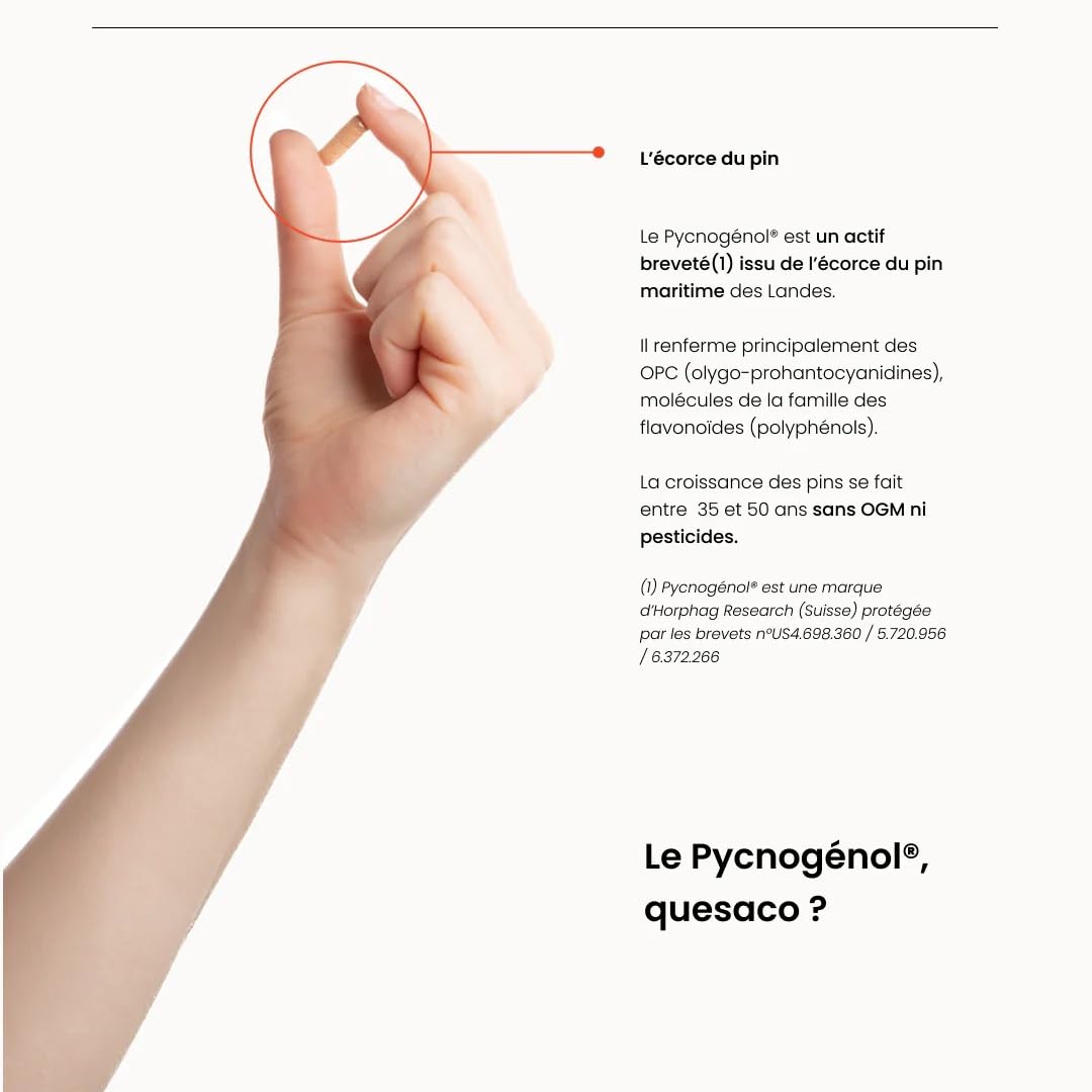 NATESIS - PYCNOGENOL - Antioxydant - Circulation Sanguine Jambes - Extrait Écorce Pin des Landes 100% naturel et français - Circulation veineuse - Anti Jambes Lourdes - VEGAN - 40 gélules