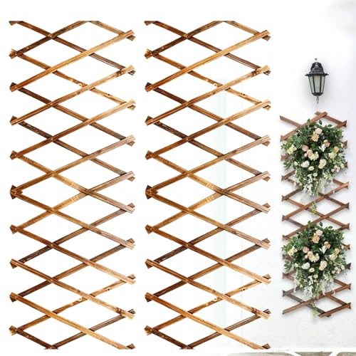 Lot de 2 treillis extensibles pour plantes grimpantes, treillis en bois pour plantes grimpantes, plantes murales, treillis extensibles pour chambre, jardin,...