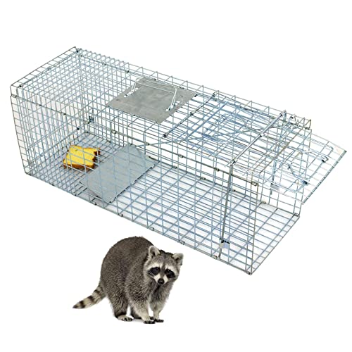 32 x 12 x 12.5 Large Humane Live Animal Trap - 1-Door Solid Steel Catch & Release Cage for Raccoons Rabbits Stray Cats Squirrels Groundhogs Opossums Armadillos