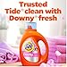 Tide Plus Boost of Ultra Downy Liquid Laundry Detergent, April Fresh Scent, 92 fl oz, 65 Loads, Laundry Detergent Liquid with Long-Lasting Freshness