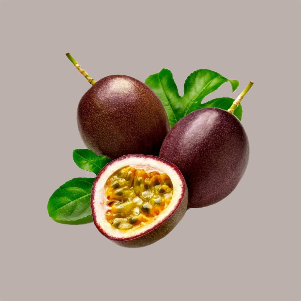 Lucgel Topping al Gusto Passion Fruit Salsa Dolce Gourmet Gelati Dessert 950g Fabbri - 1 pezzo -
