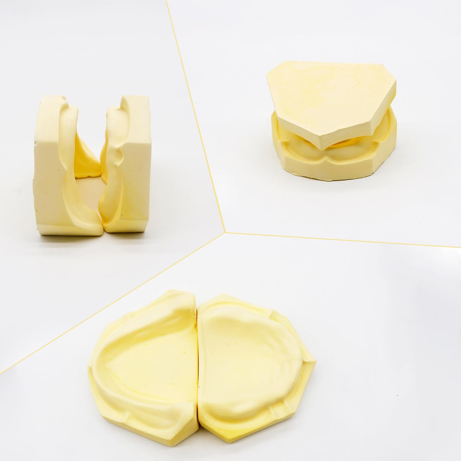 4 szt. Gipsowy model dentystyczny standardowe modele tynków z zębami i bez zębów model dentystyczny do nauki nauczania