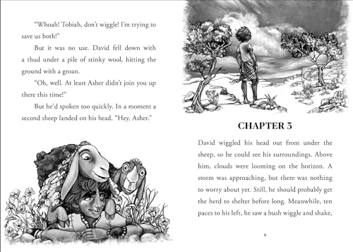 Young David: Shepherd - Image 3