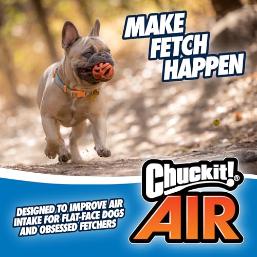 Chuckit! CH31933 Breathe-Right Large 1-er Pack