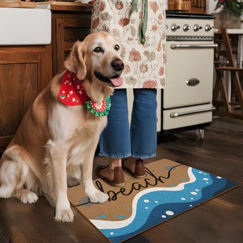 XLDLIOO Beach Coastal Summer Door Mat, Beach House Doormat, Ocean Welcome Front Door Mat Indoor Outdoor Entrance, Beachy Seashell Artificial Coir Doormats Rugs for Patio Entry Home Decor, 30x17in - Image 5