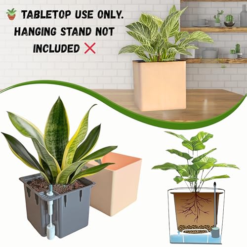 Image of Indian Discovery Self Watering Tabletop Planter| Flower Pots for Home, Terrace, Balcony, Vertical Garden Decor Flower Pots(1 PC, Peach, Square) |6 Inch UV-Resistant Plastic Plant Pots