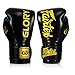 Fairtex Guantes de boxeo X Glory – Negro – Guantes de boxeo para kickboxing, sparring, Muay Thai – Hecho a mano en Tailandia – Guantes de boxeo oficiales Glory Kickboxing (14 oz)