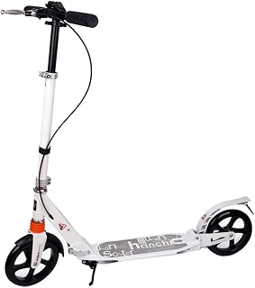 Scooters City Big Wheel Dual Brake Hand Brake Pedal Roller,Supports 220lbs,City for children and adults for 8+,Unisex