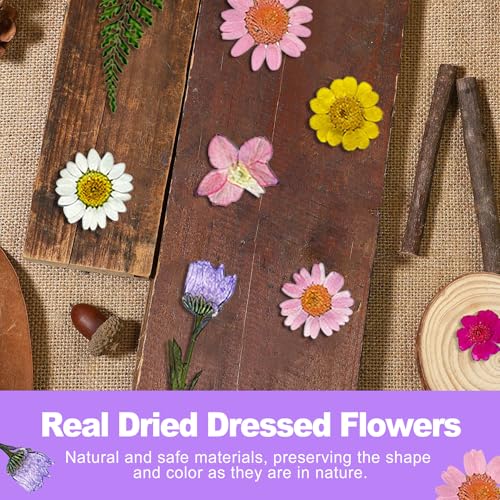 Set de flores prensadas reales 24 piezas para manualidades miniatura 4
