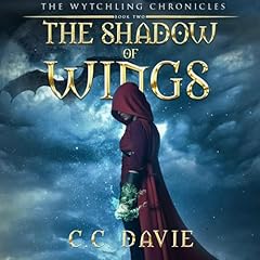 The Shadow of Wings cover art