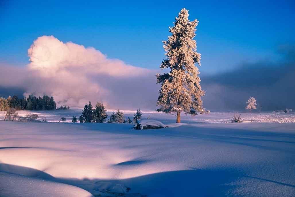 Hi-Look Microfiber Cleaning Cloth - Geyser Basin in Winter, Yellowstone NP
