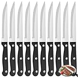 Cptoion 10 Stück Messerset, Steakmesser Set 21 cm, Edelstahl mit Wellenschliff, Scharfe Klingen, Tafelmesser Silber, Robuste Kunststoffgriff