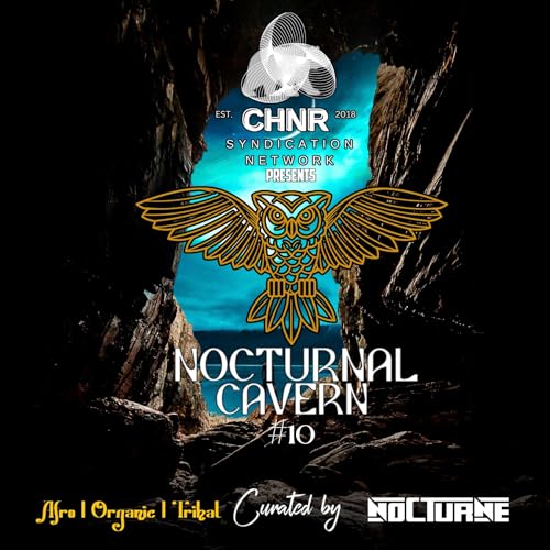 Nocturnal Cavern #10 (Afro, Organic, Tribal)