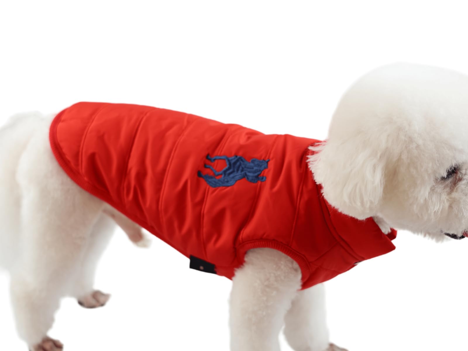 Amazon | ジジ・ルシアン ZIZILECHI 背中開き撥水ダウン風ジャケット