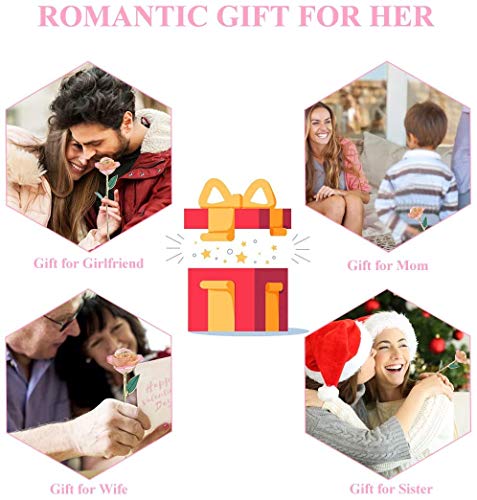 Zjchao 24K Peach Rose For Her, Dipped Gold Rose Eternity Love Real Golden Plated Preserved Eternal Flower With Rose Stand Present For Wife/Girlfriend/Daughter (Peach) #TOP6
