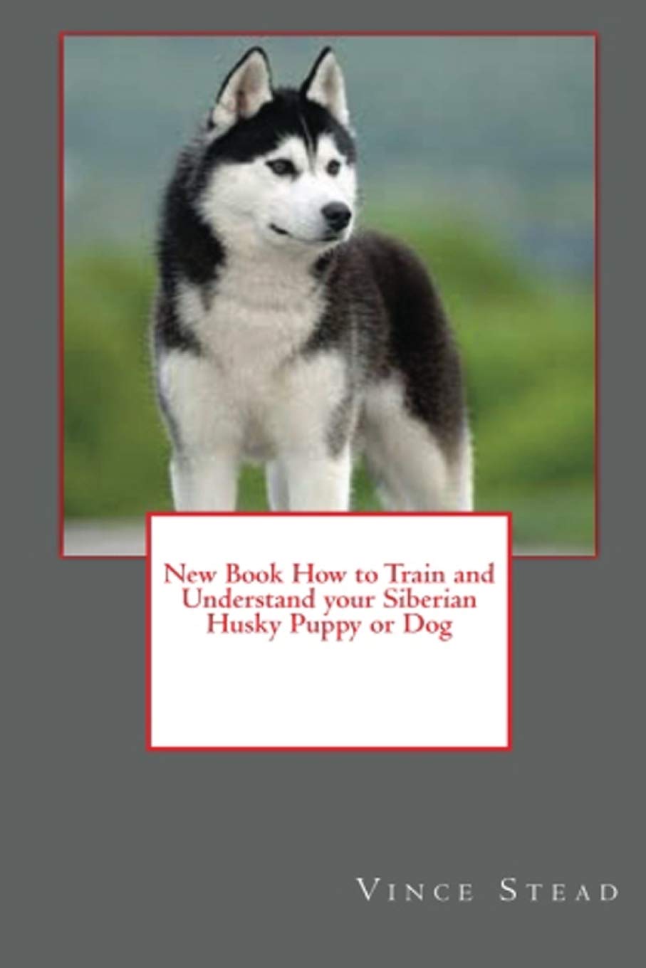 How Do You Train A Husky Puppy